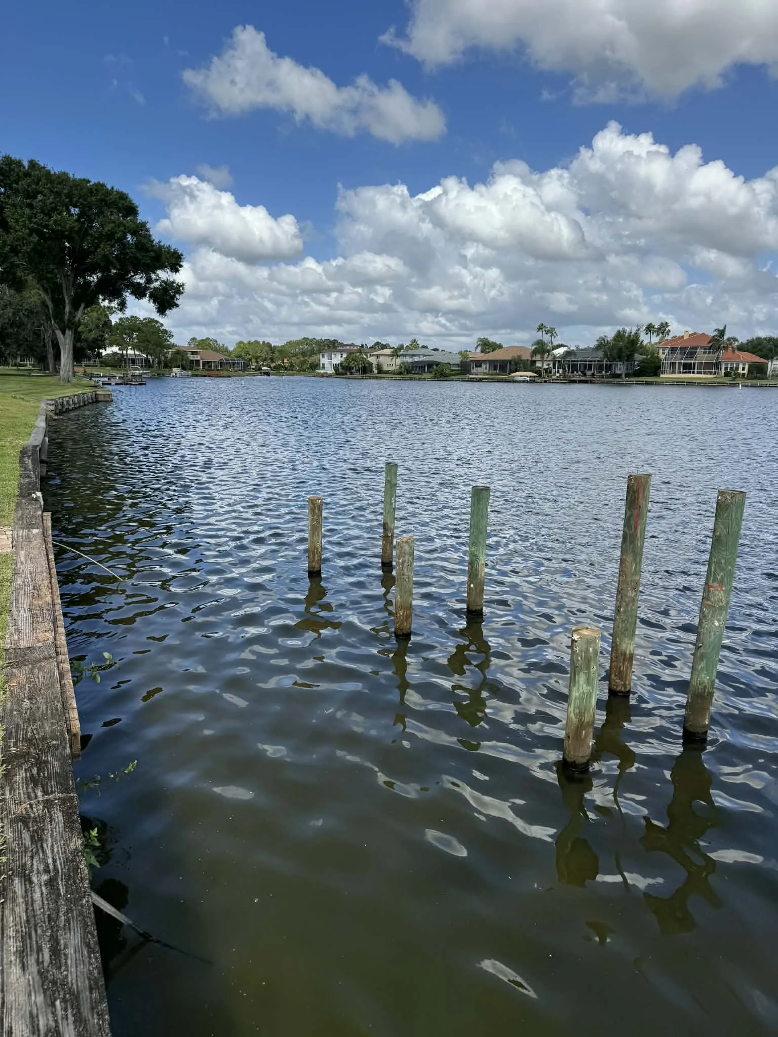 Temple Terrace deck construction - dock pilings installation